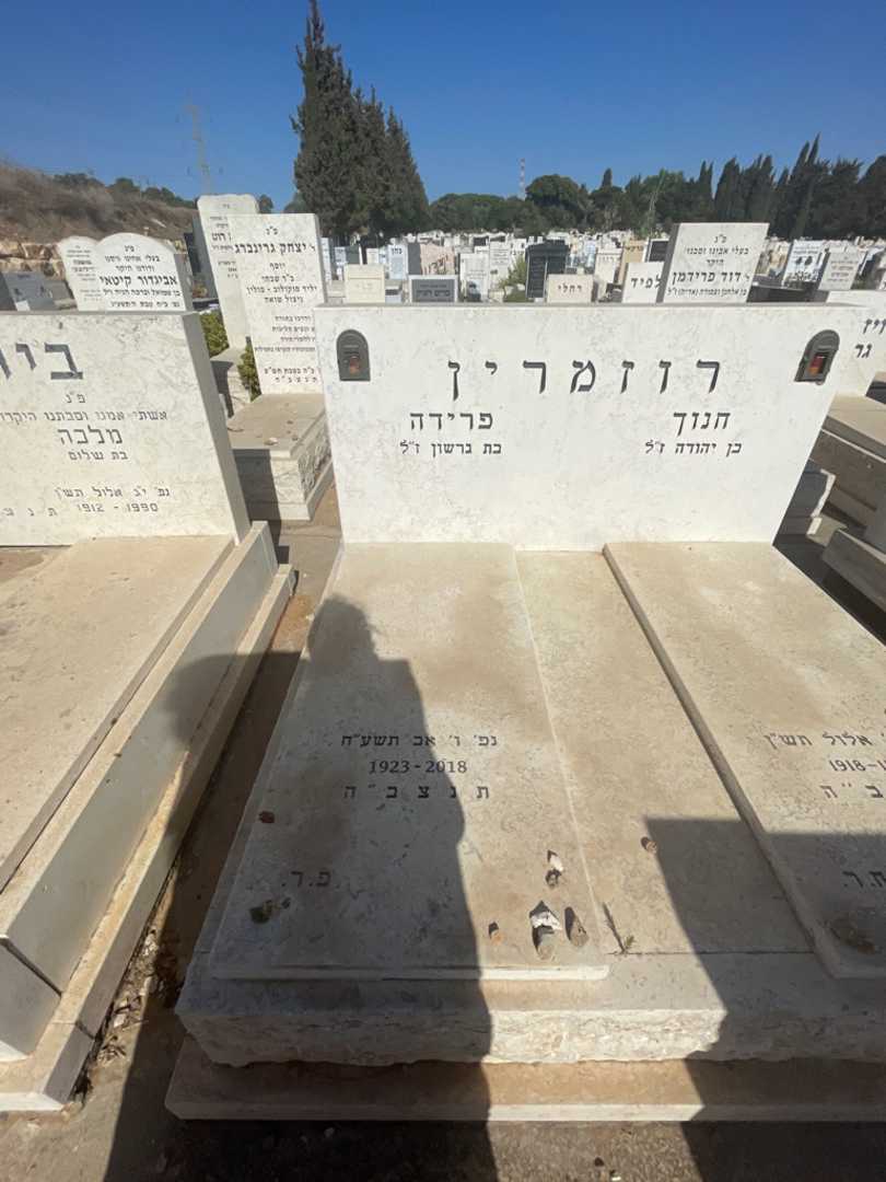 קברו של פרידה רוזמרין. תמונה 2