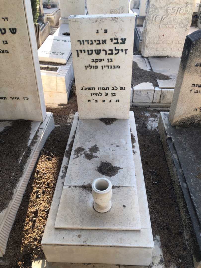 קברו של צבי "אביגדור" זילברשטיין