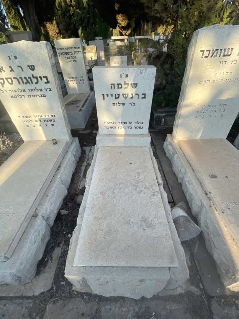 קברו של שלמה ברנשטיין