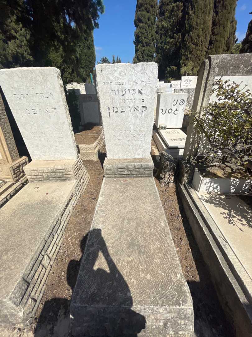 קברו של אליעזר קאופמן. תמונה 2