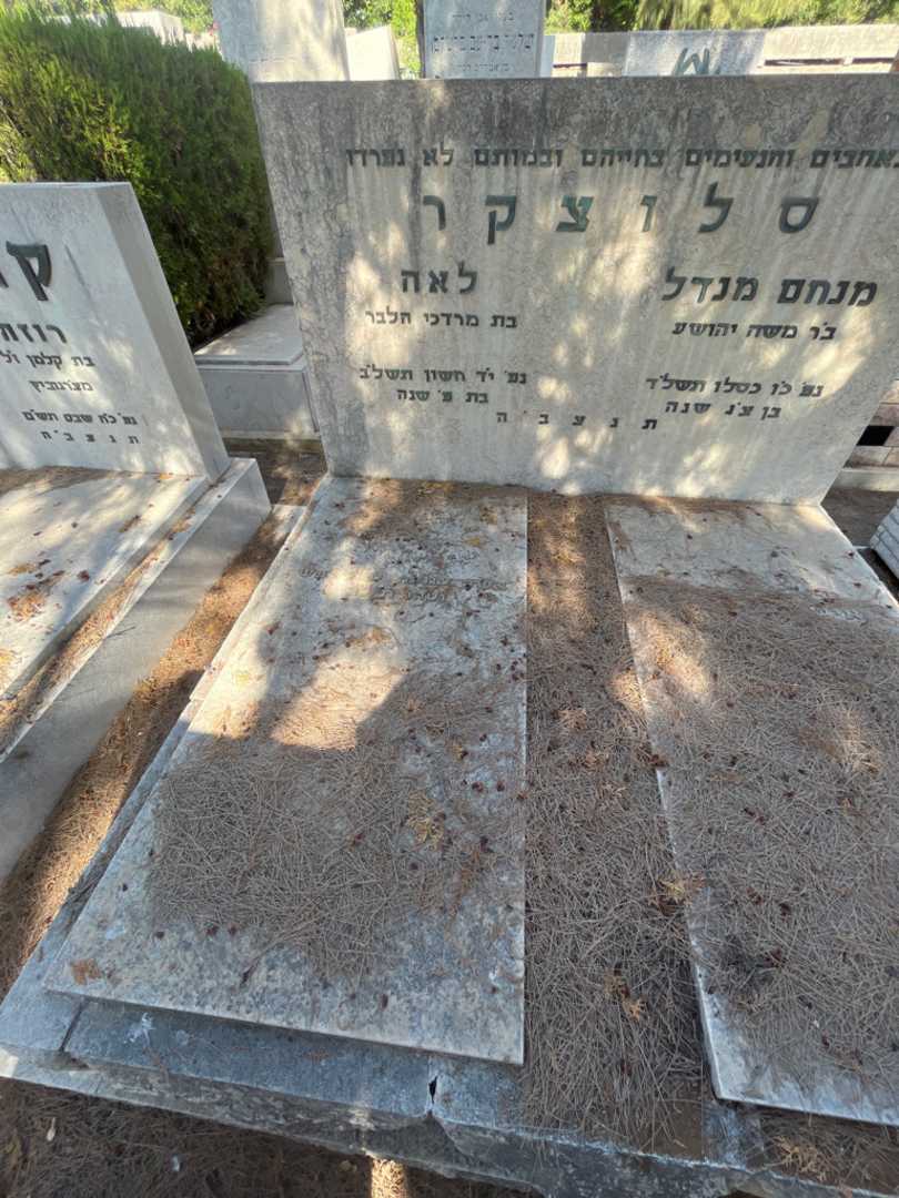 קברו של לאה סלוצקר. תמונה 2