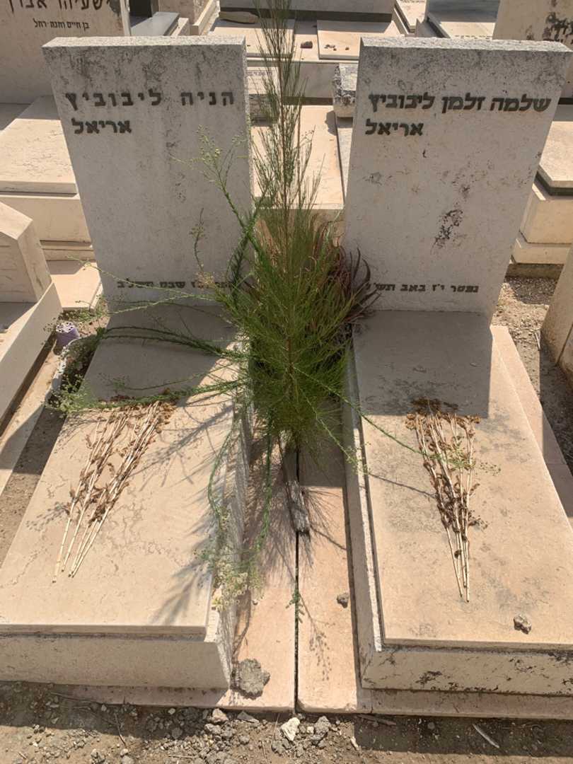 קברו של שלמה זלמן ליבוביץ אריאל. תמונה 2