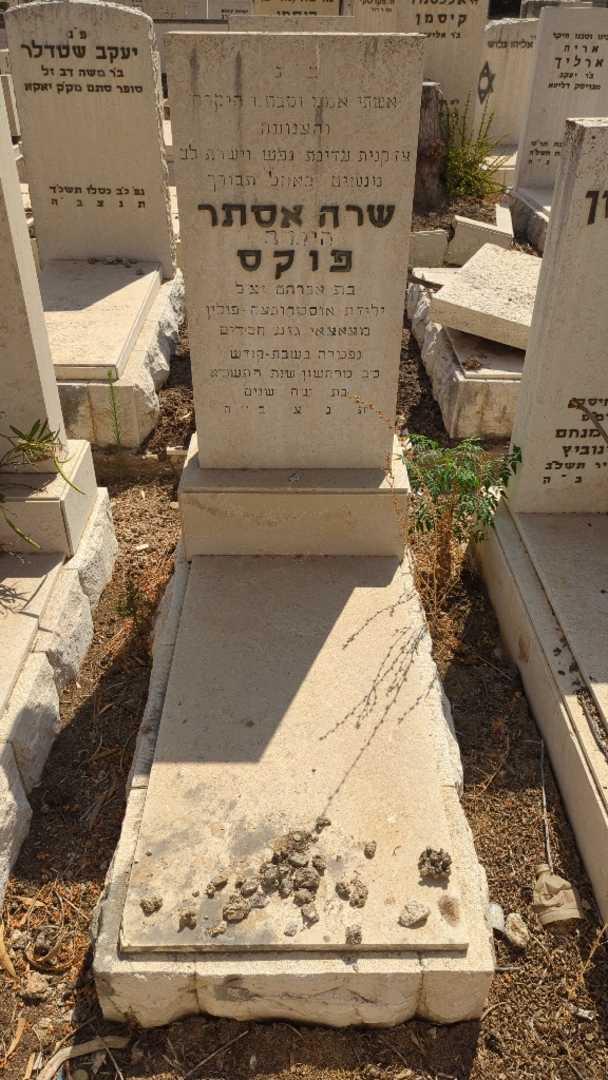 קברו של שרה אסתר פוקס