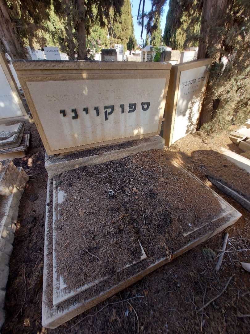 קברו של יעקב ספוקויני. תמונה 1