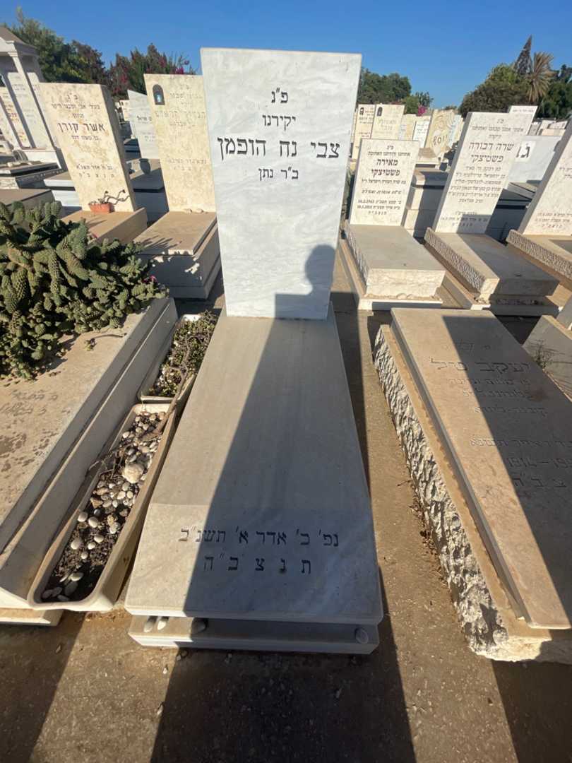 קברו של צבי נח הופמן