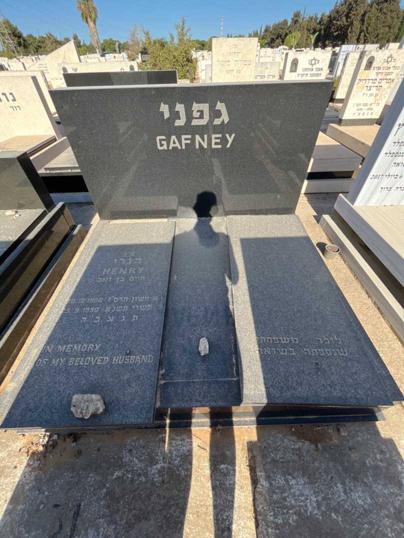 קברו של הנרי גפני. תמונה 1