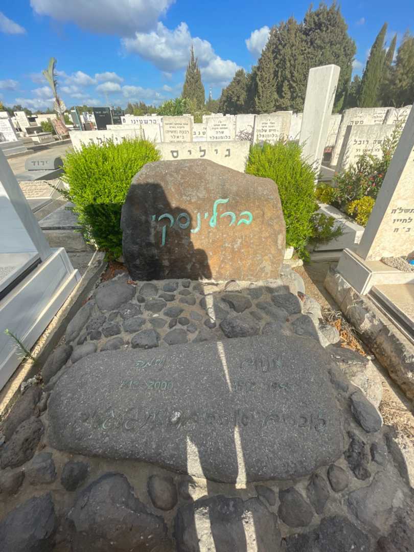 קברו של מנחם ברלינסקי. תמונה 1