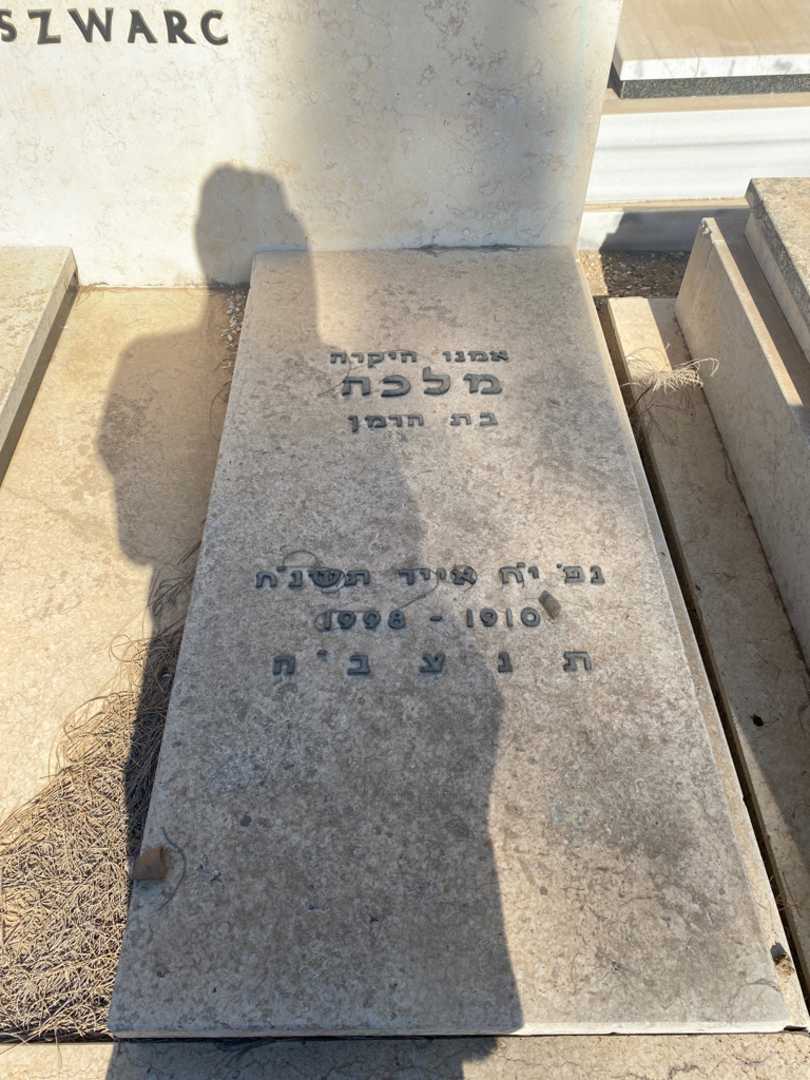 קברו של מלכה שוורץ. תמונה 2