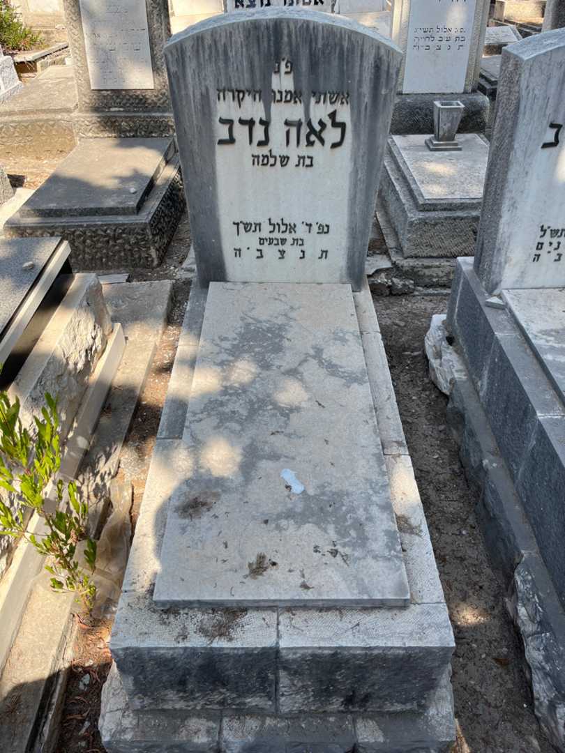 קברו של לאה נדב. תמונה 1