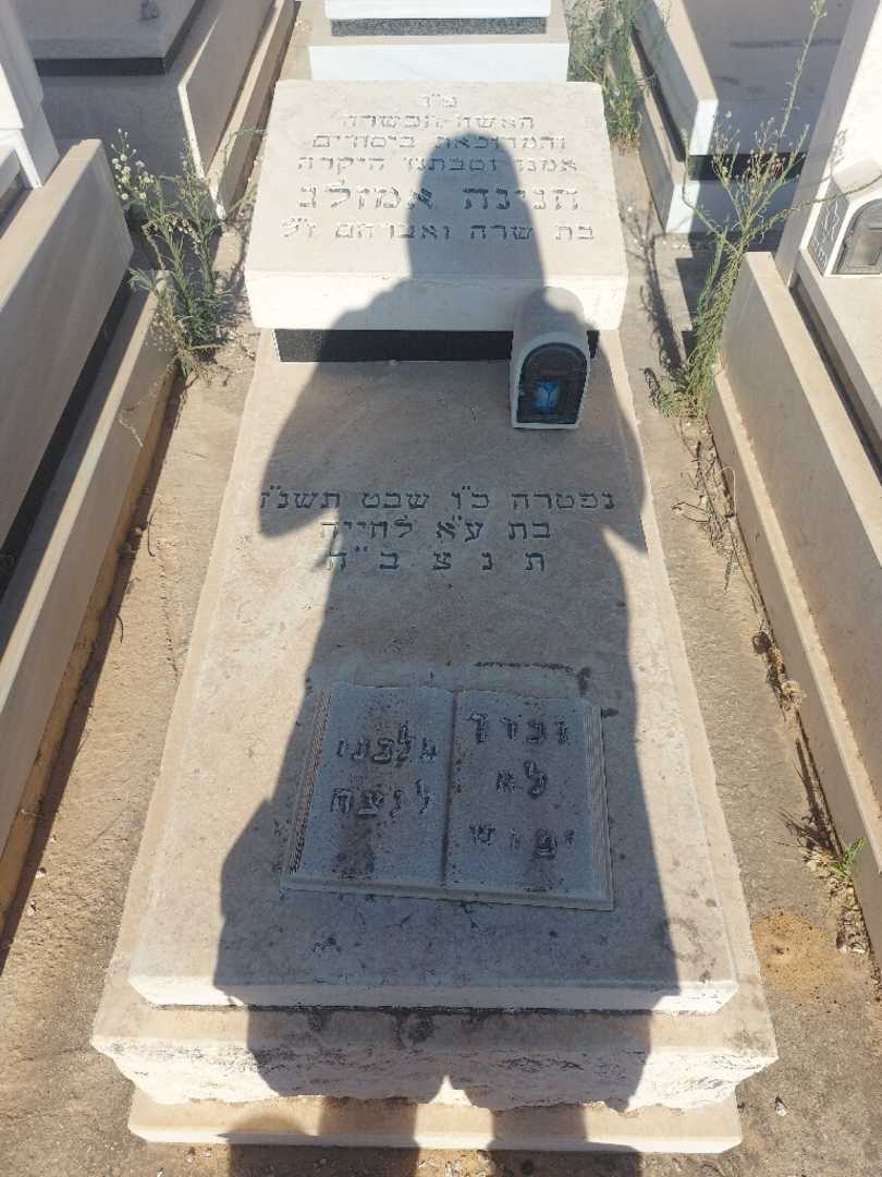 קברו של חנינה אמזלג