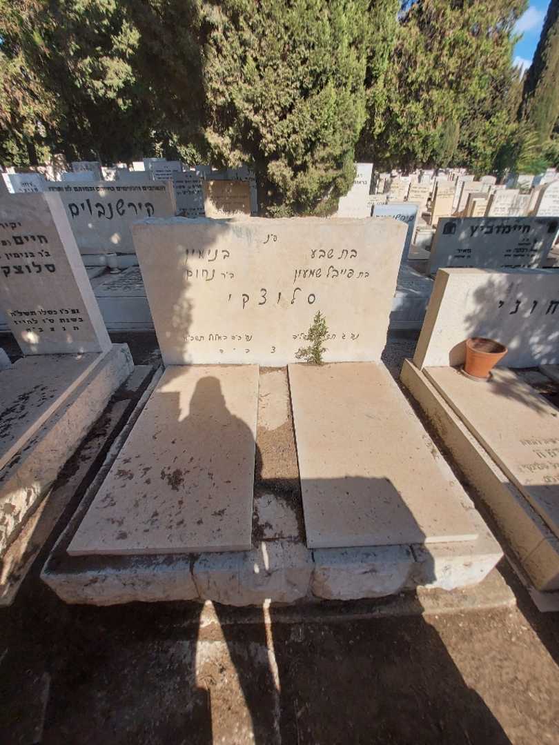 קברו של בנימין סלוצקי. תמונה 2