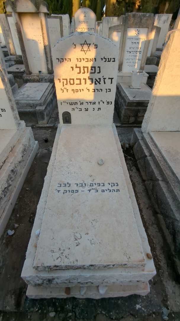 קברו של נפתלי דז'אלובסקי