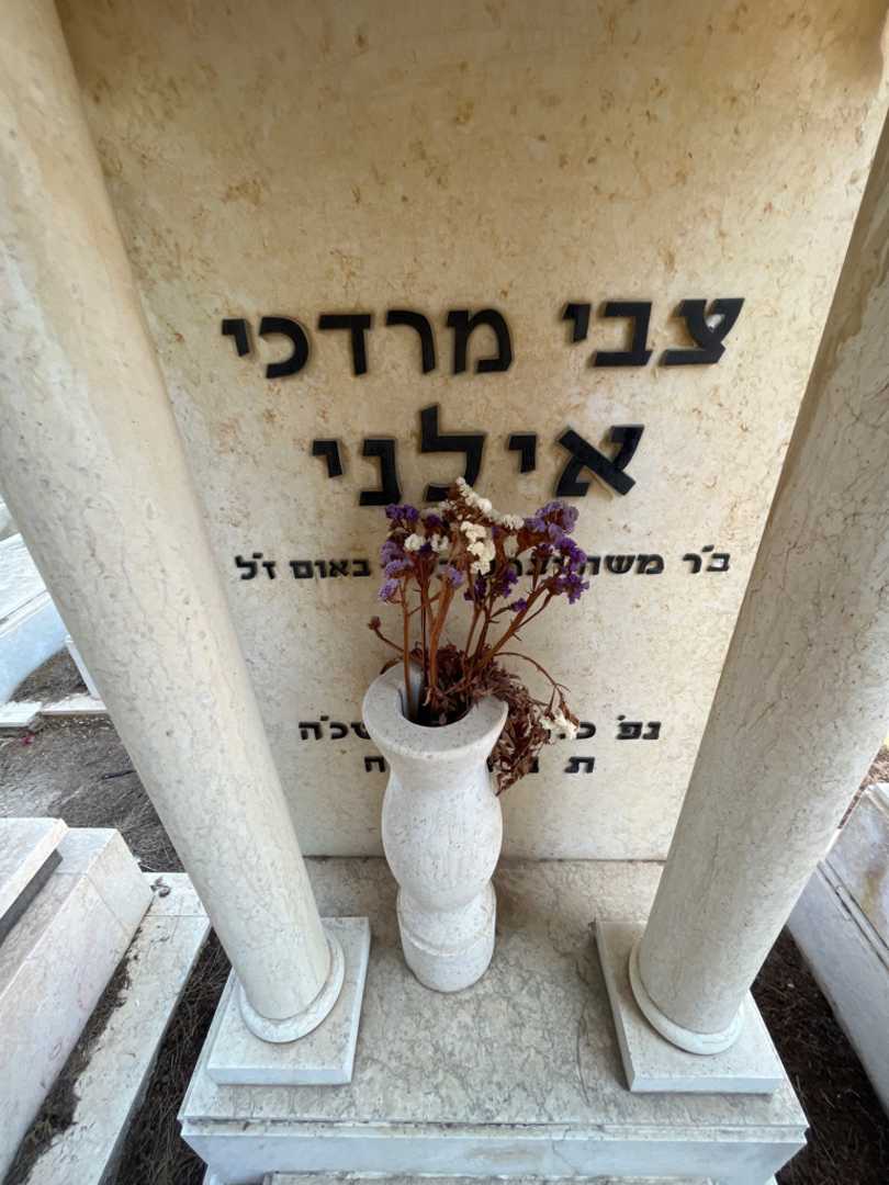 קברו של צבי מרדכי אילני. תמונה 2