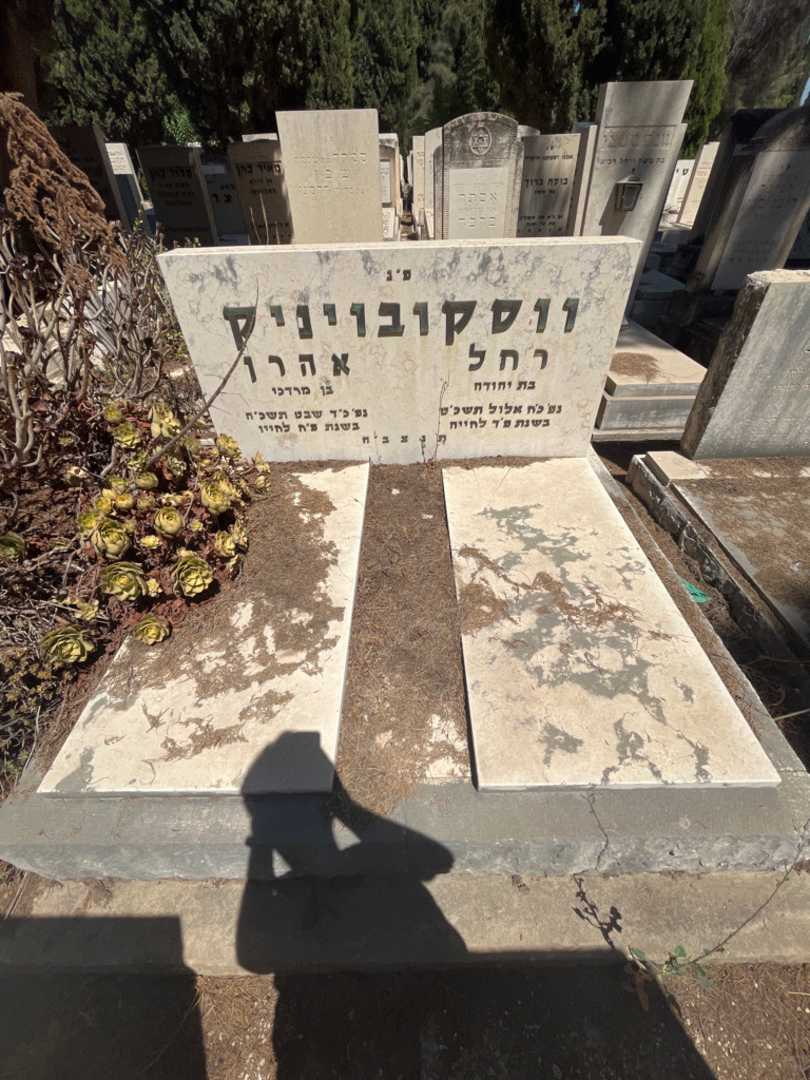 קברו של רחל ווסקובויניק. תמונה 2