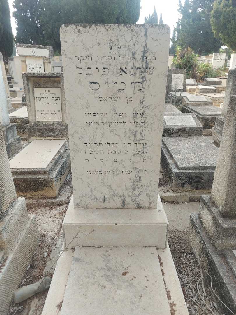 קברו של שרגא פיבל מטיס