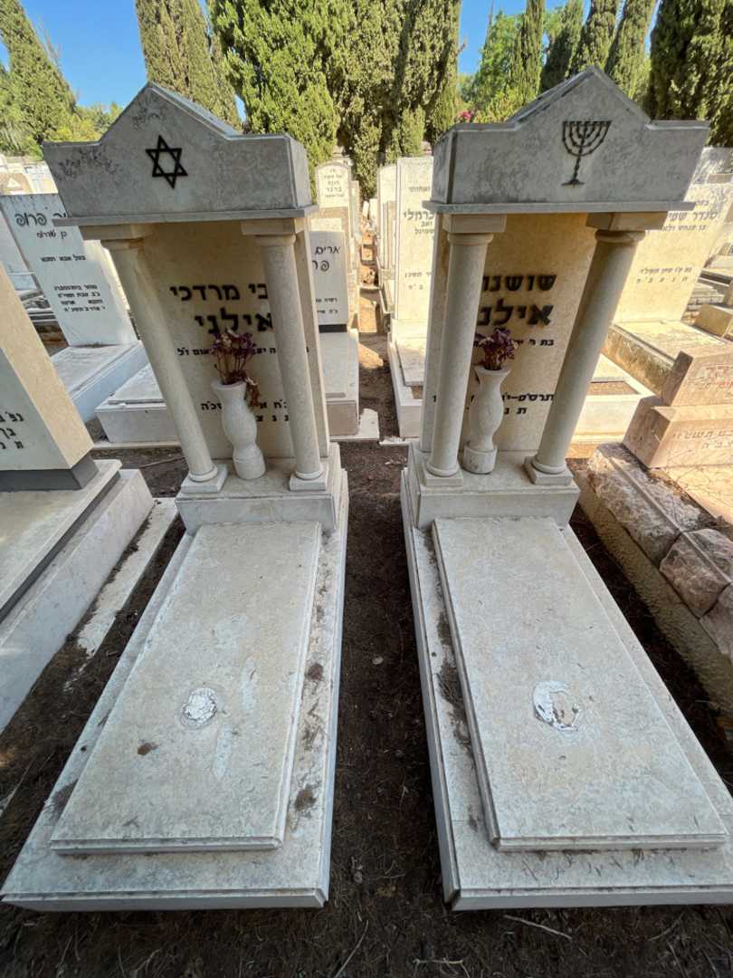 קברו של צבי מרדכי אילני. תמונה 3
