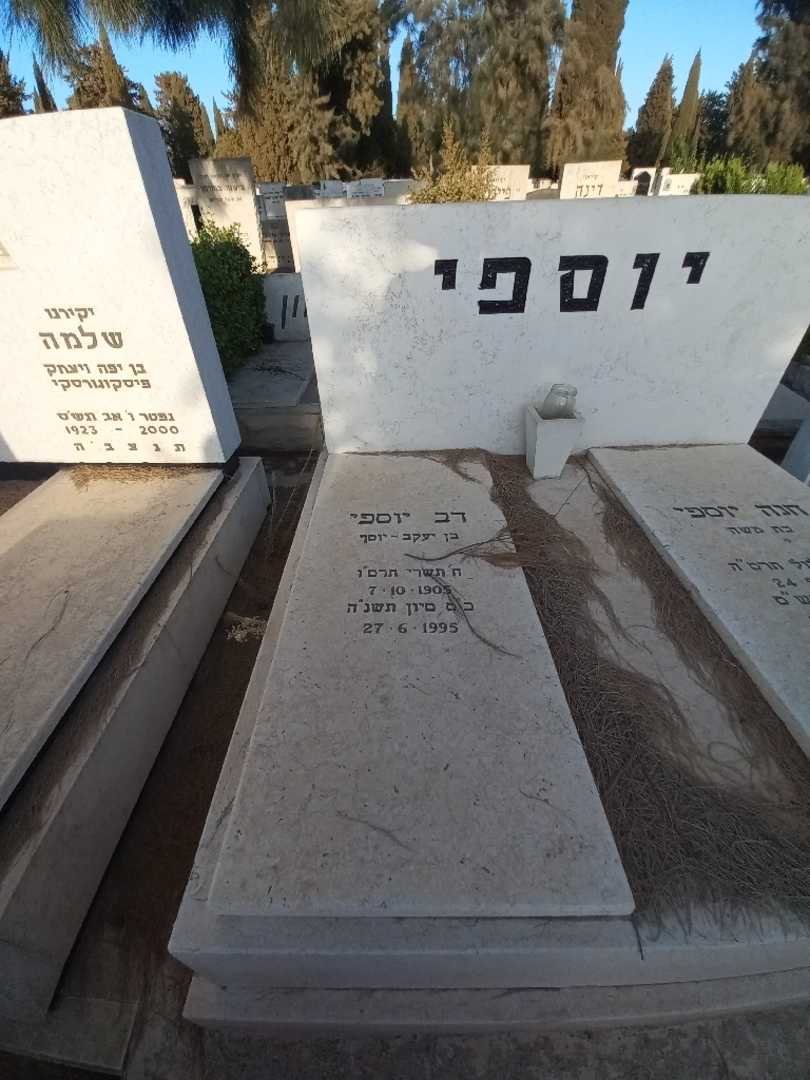 קברו של דב יוספי. תמונה 1