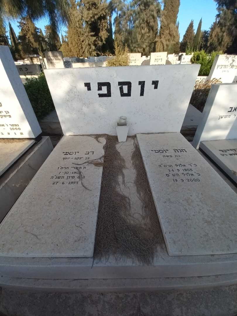 קברו של דב יוספי. תמונה 2