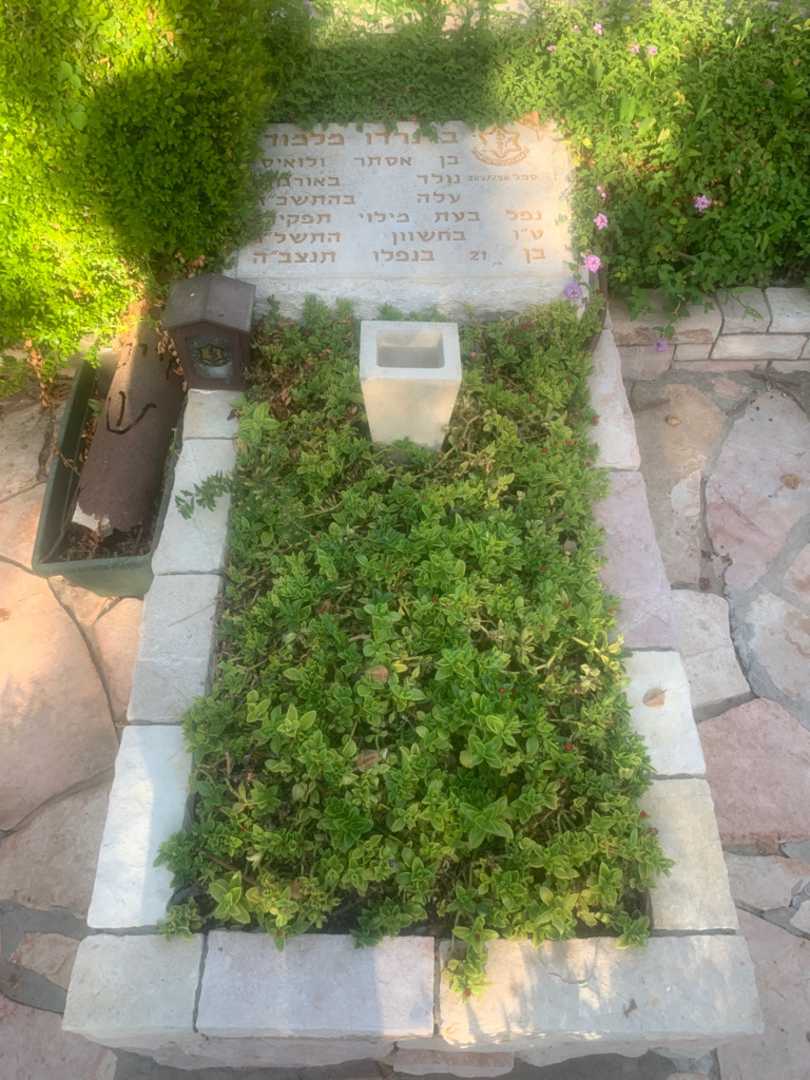 קברו של ברנרדו מלמוד
