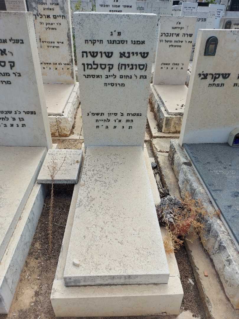 קברו של שיינא שושה "סוניה" קסלמן. תמונה 2