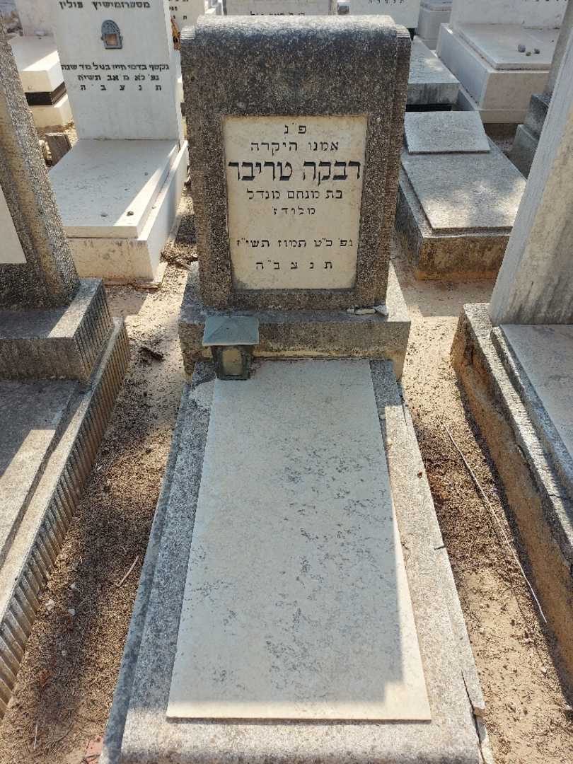 קברו של רבקה טריבר