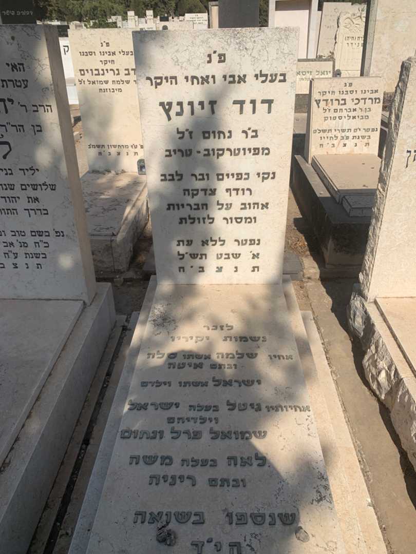 קברו של דוד זיונץ