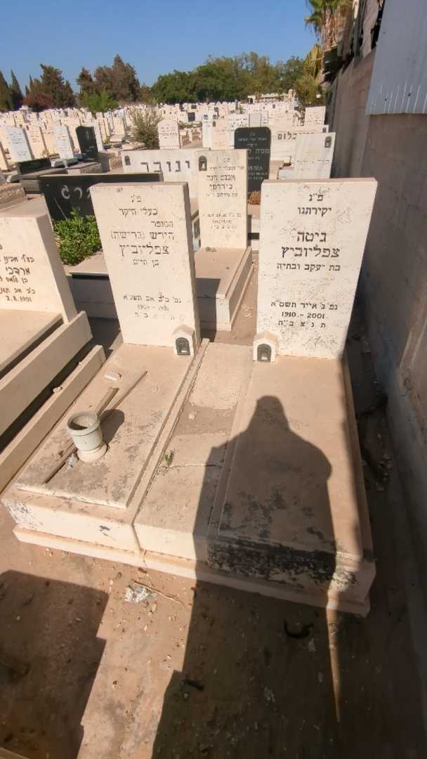 קברו של גיטה צפליוביץ. תמונה 2
