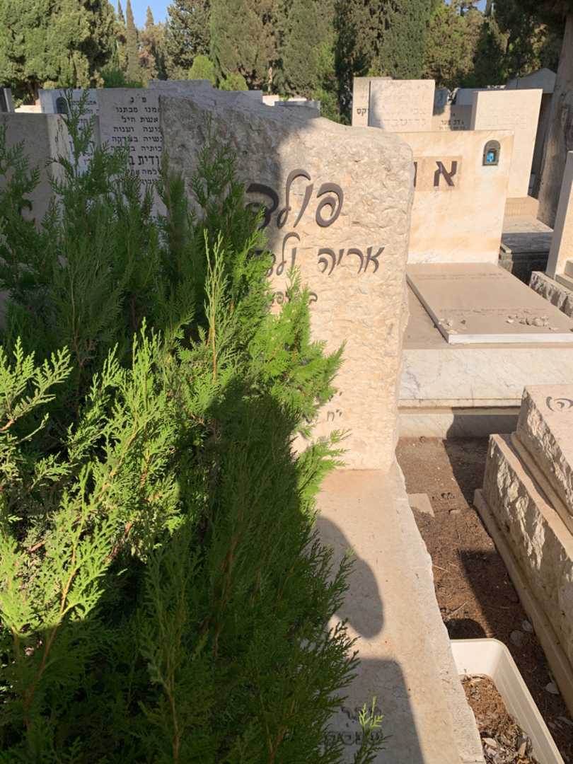 קברו של אריה ולדהורן פולדי. תמונה 1