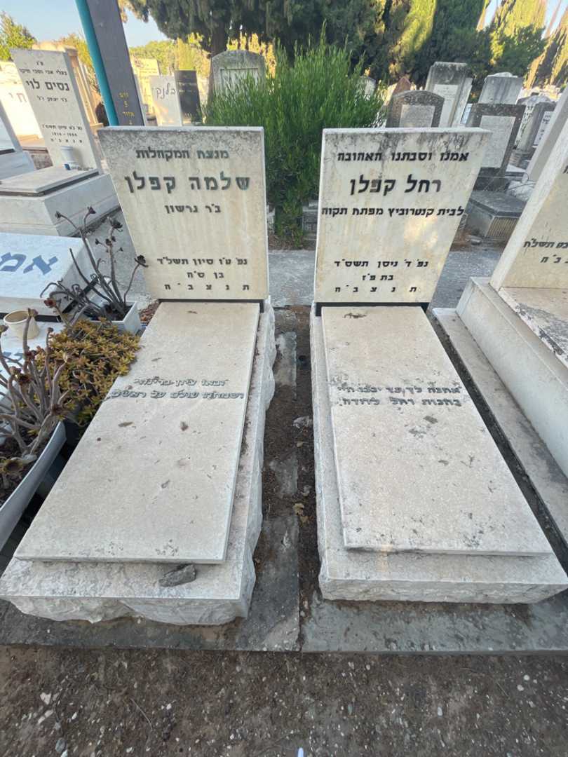 קברו של שלמה קפלן. תמונה 1
