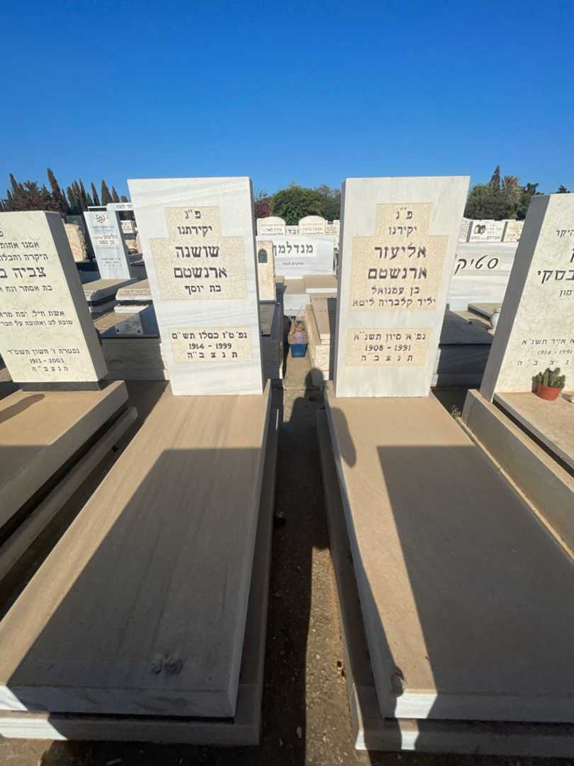 קברו של אליעזר ארנשטם. תמונה 1