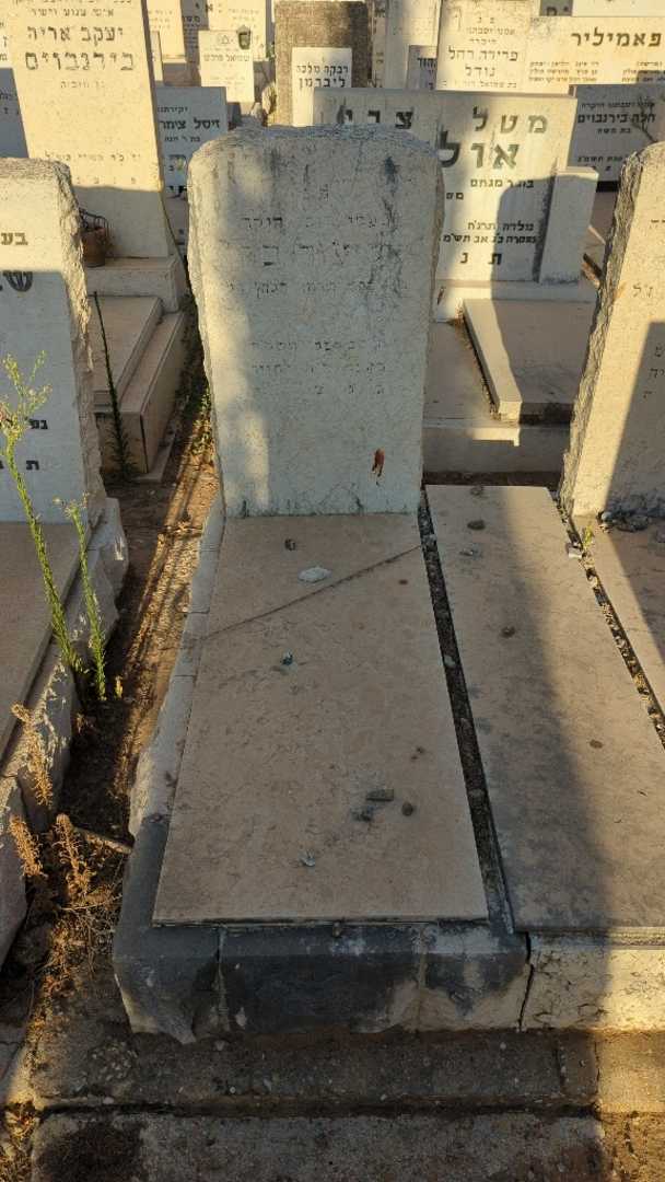 קברו של אליעזר כהן. תמונה 1