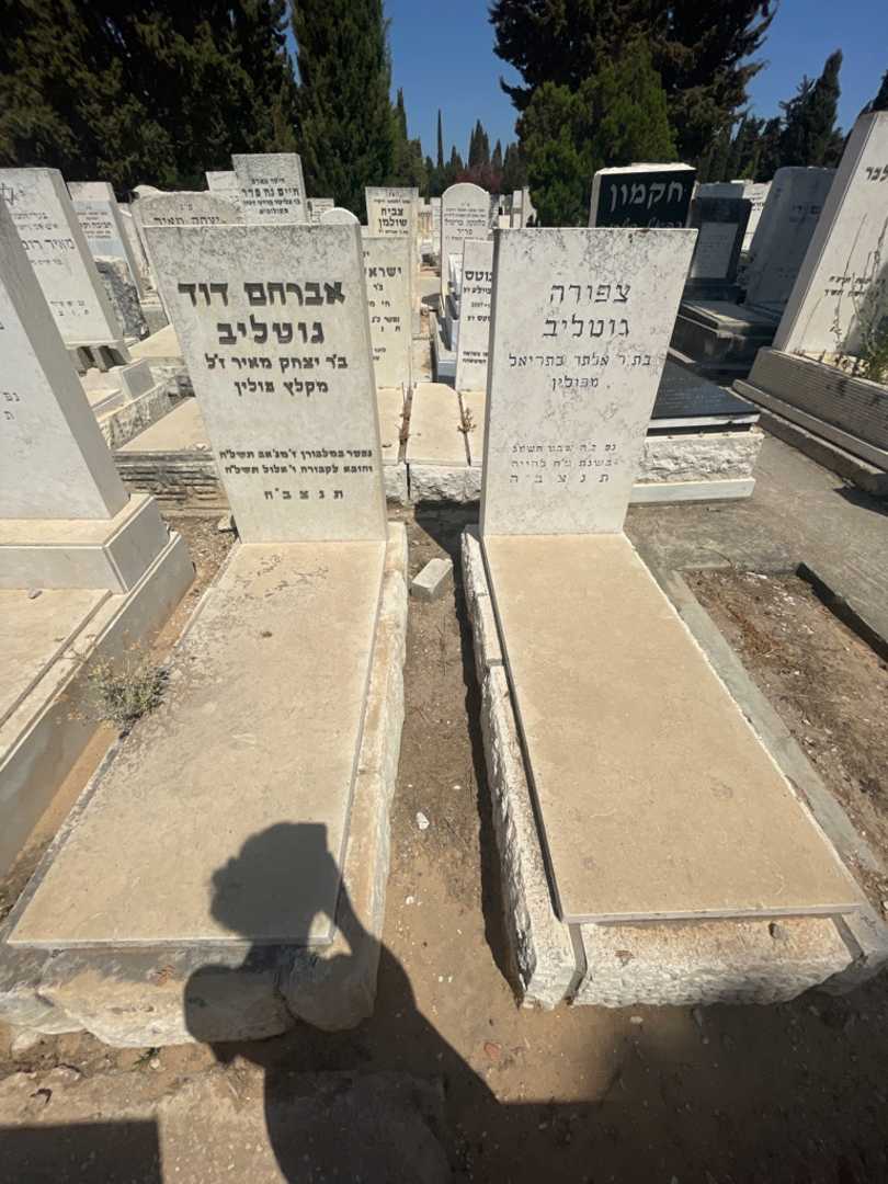 קברו של צפורה גוטליב. תמונה 1