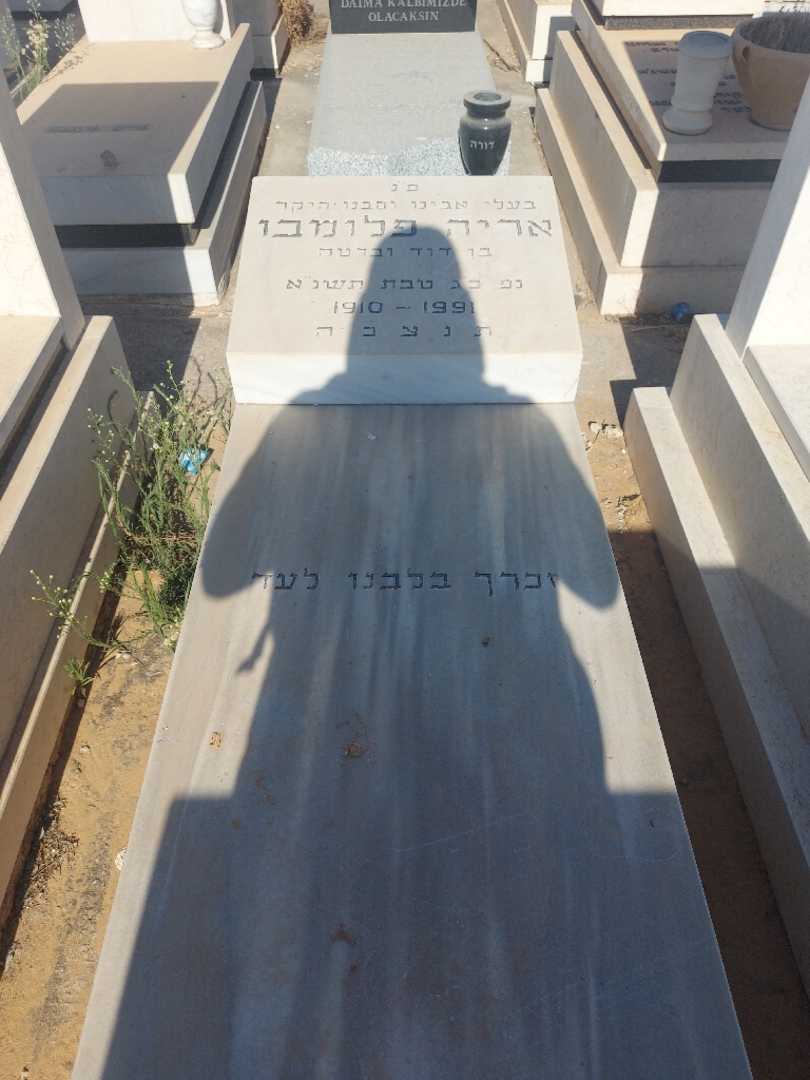 קברו של אריה פלומבו