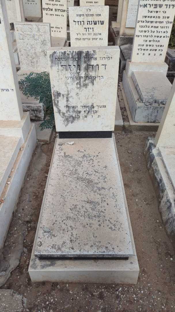 קברו של דוד ויזר