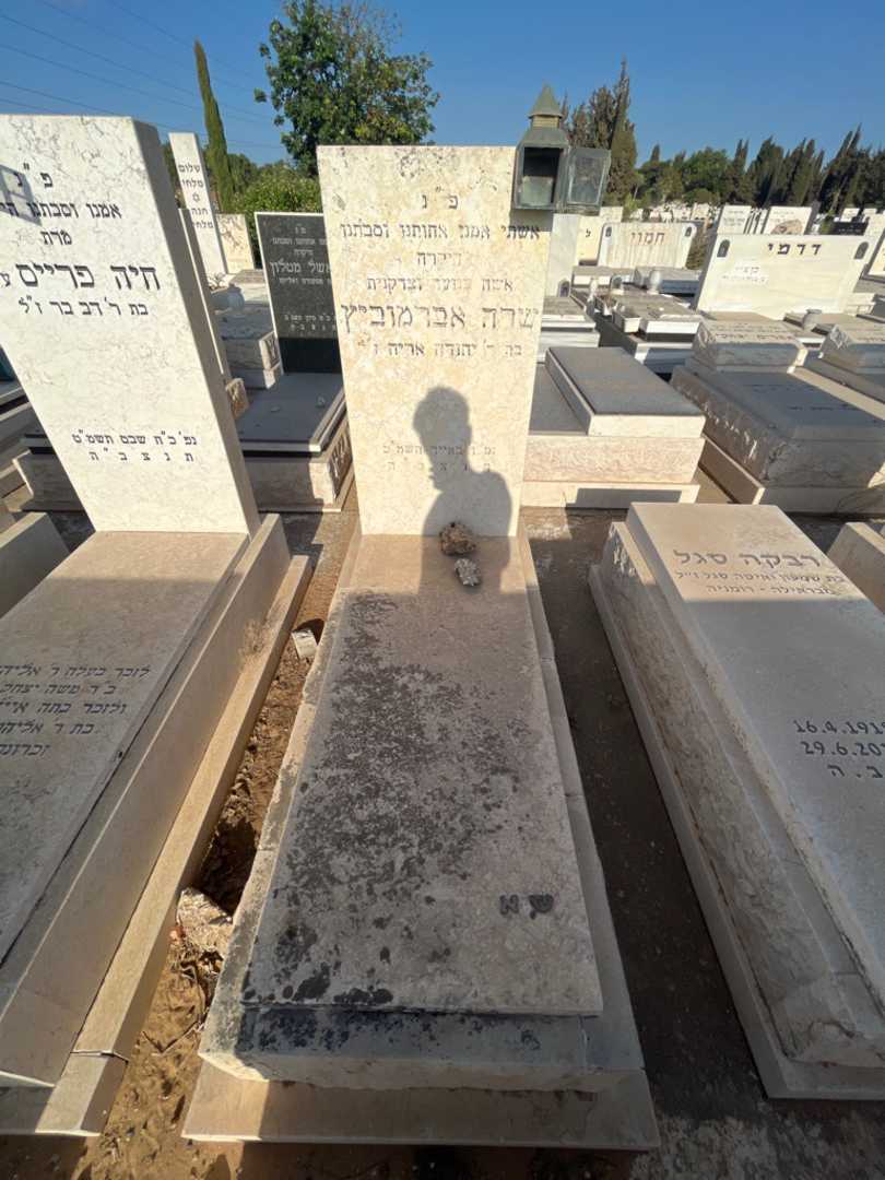 קברו של שרה אברמוביץ