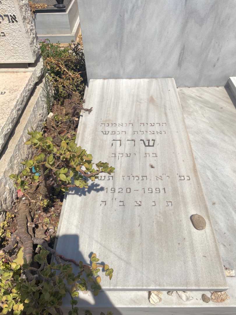 קברו של שרה שלומי. תמונה 2