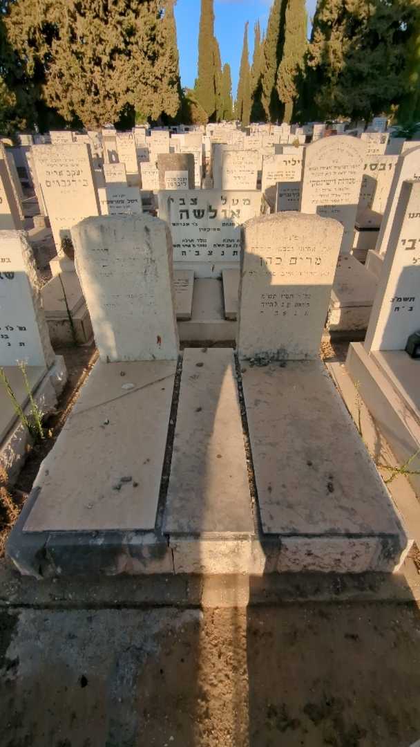 קברו של אליעזר כהן. תמונה 2