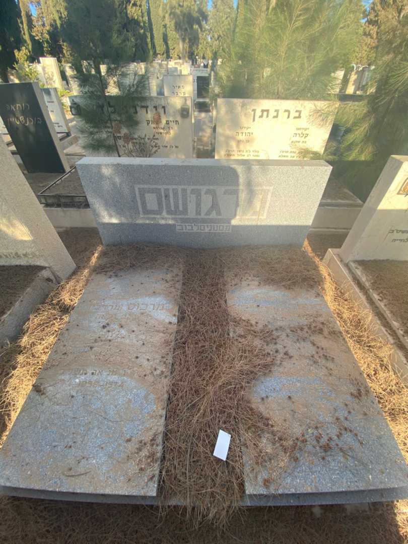 קברו של סופיה מרגושס. תמונה 1