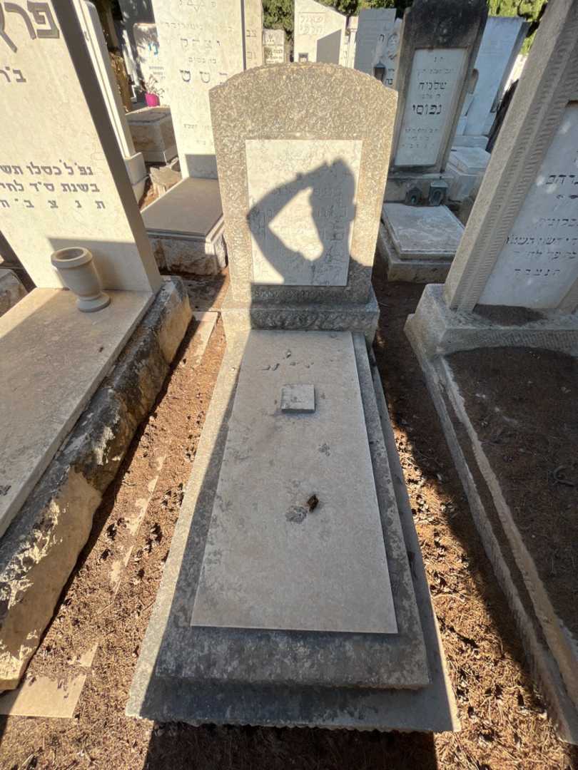קברו של לאון פרימר. תמונה 1