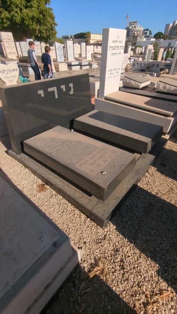 קברו של בלה נירי. תמונה 2