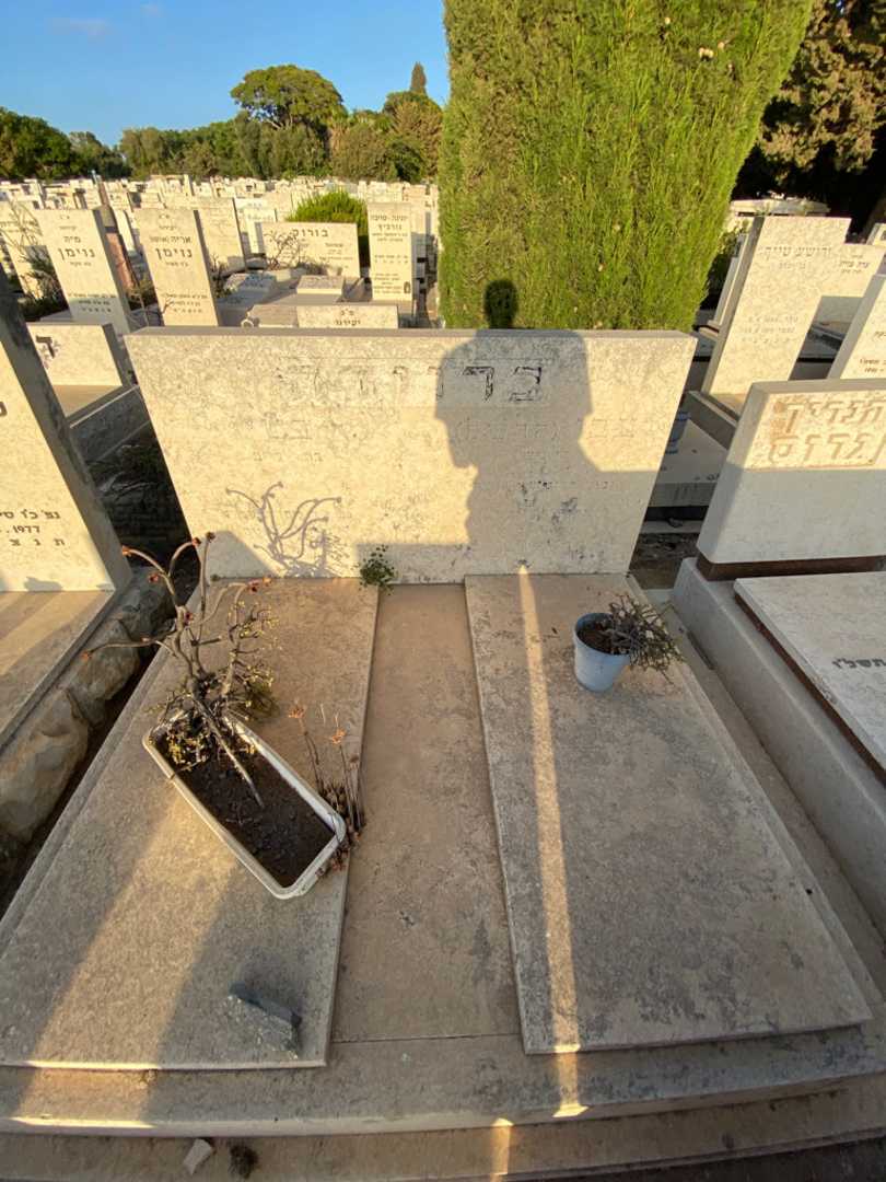 קברו של צבי הרשל ברוידה. תמונה 1