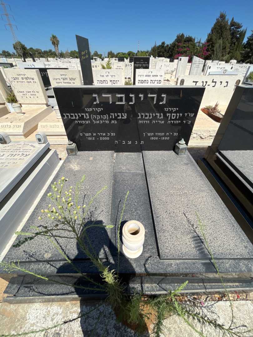 קברו של יוסף גרינברג. תמונה 1