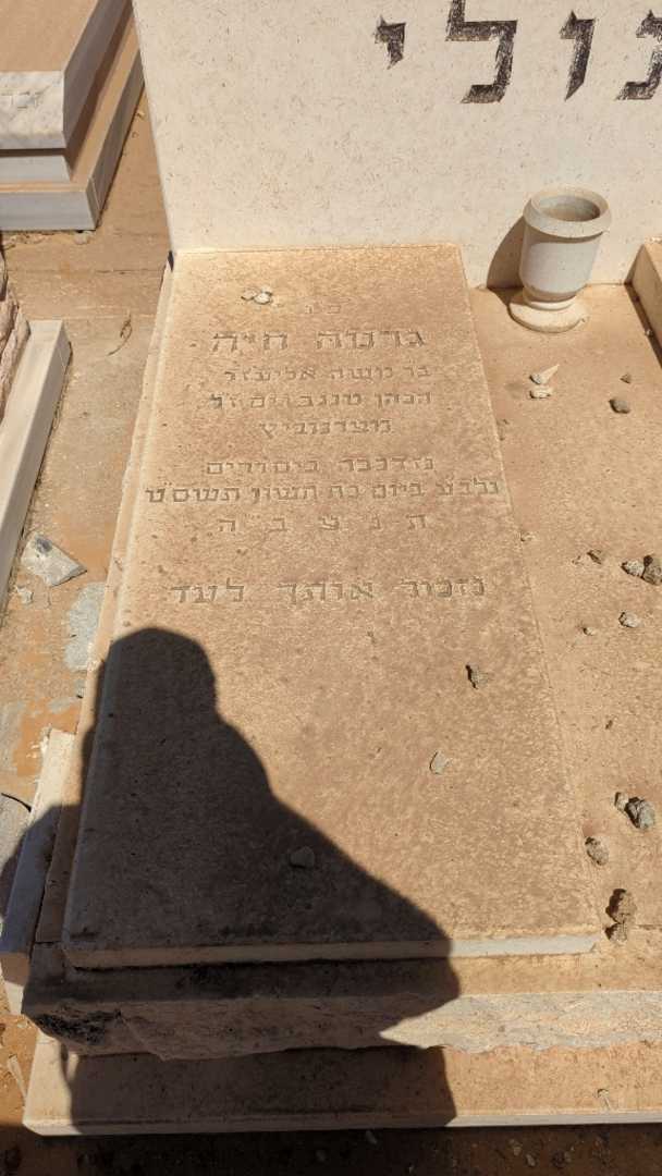 קברו של גרטה חיה מנולי. תמונה 1