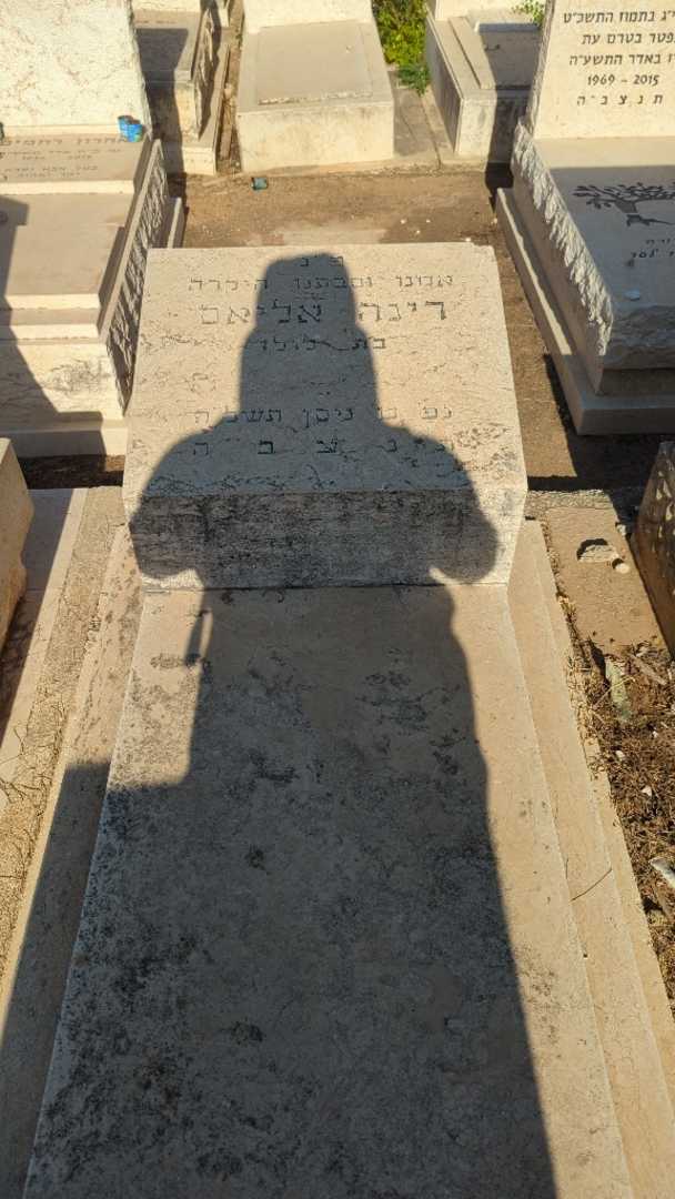 קברו של דינה אליאס
