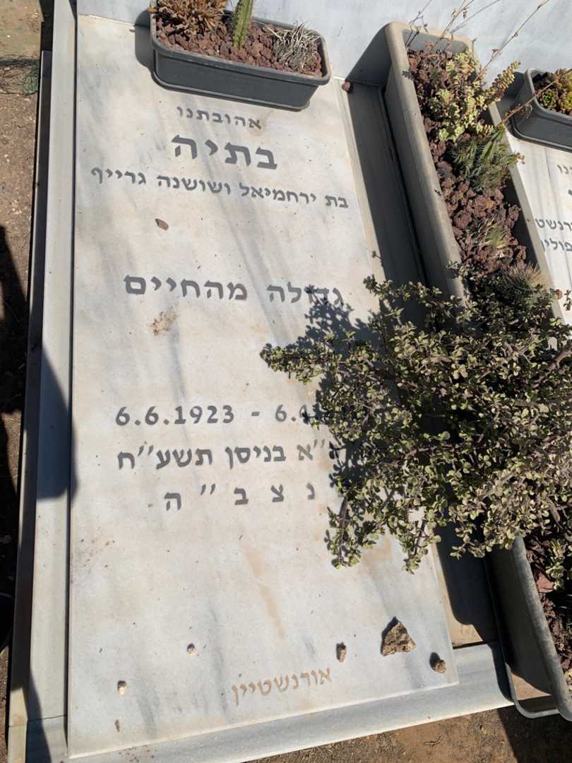 קברו של בתיה אורנשטיין. תמונה 3