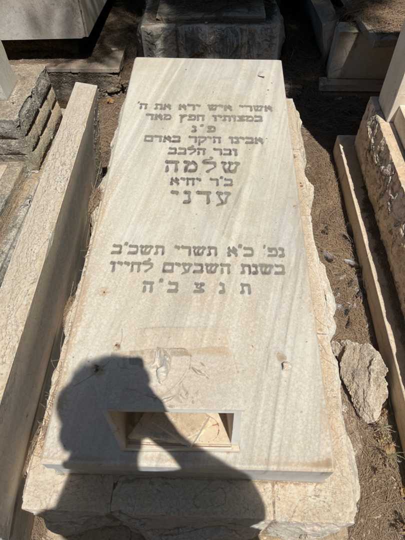 קברו של שלמה עדני