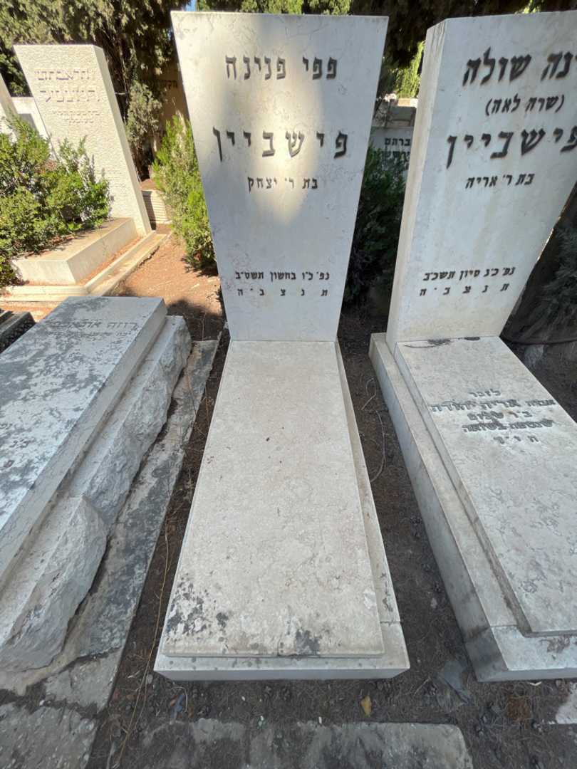 קברו של פפי פנינה פישביין. תמונה 1
