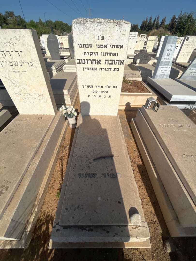 קברו של אהובה אהרונוב