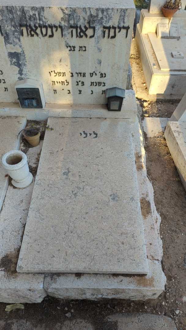 קברו של דינה לאה "לילי" וינטאה. תמונה 1