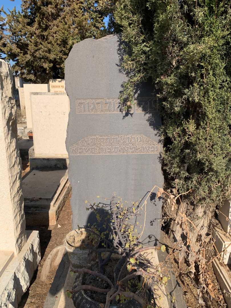 קברו של יוסף גולדגור. תמונה 1